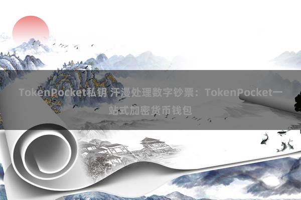 TokenPocket私钥 汗漫处理数字钞票：TokenPocket一站式加密货币钱包